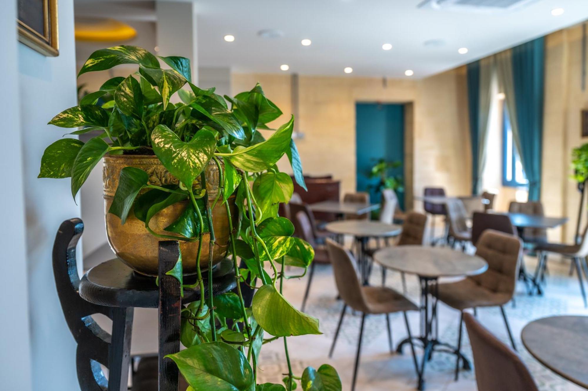 Casa Rosanna Malta B&B Adults Only 16 Plus 马尔萨斯卡拉 外观 照片